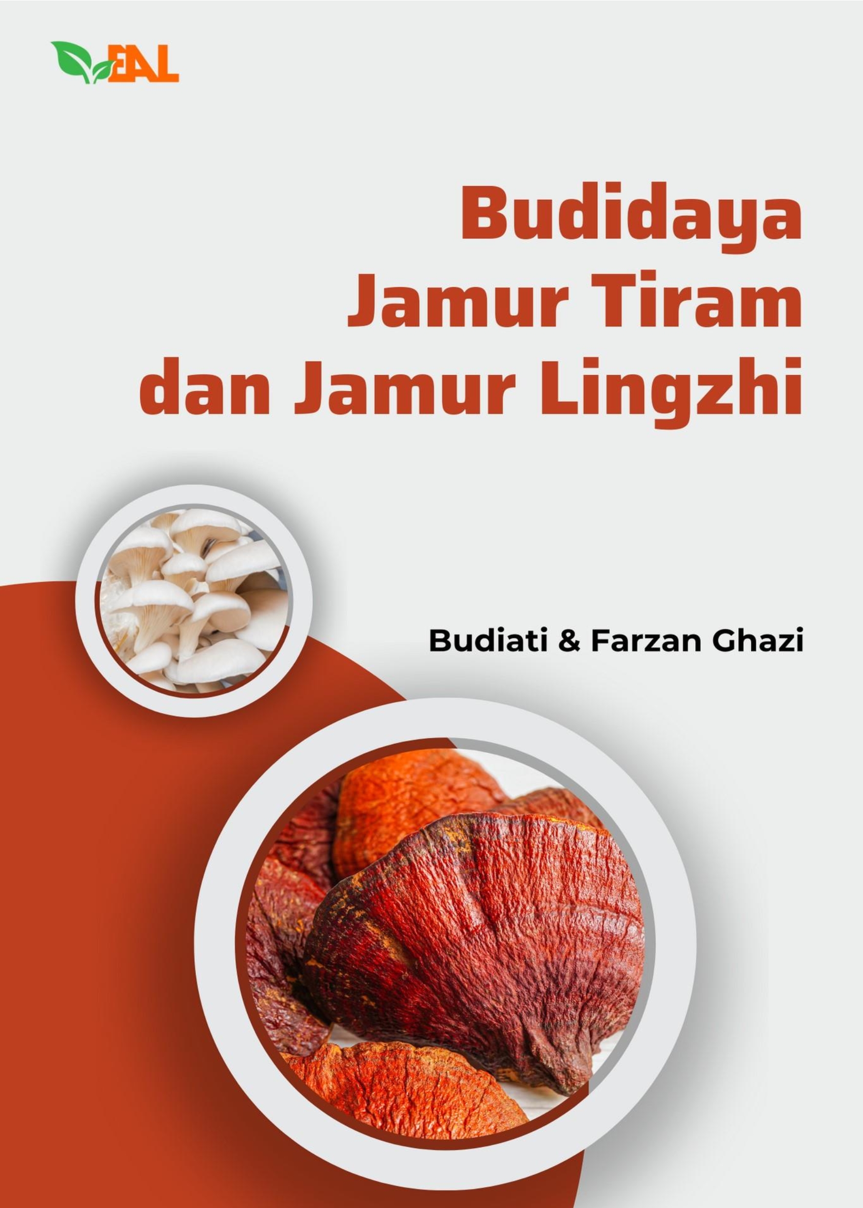 Budidaya Jamur Tiram dan Jamur Lingzhi